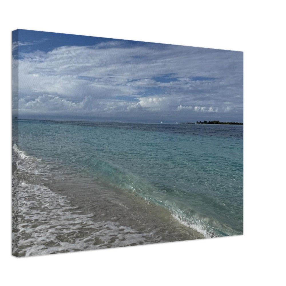 1c4fb8bb-4830-4a84-9224-50b963f12a5d