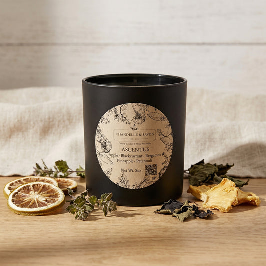 Ascentus Signature Candle by Chandelle & Savon (Wickless Option)